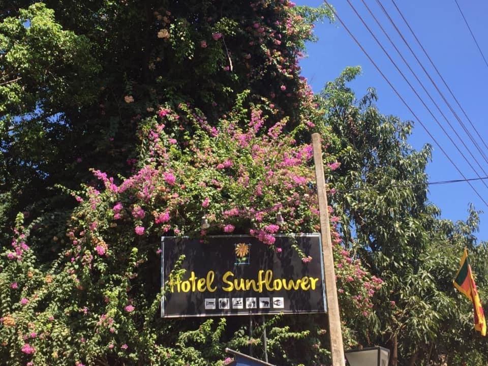 Hotel Sunflower กตรคาม ภายนอก รูปภาพ